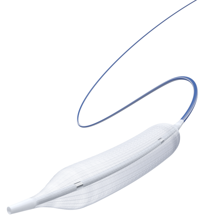 雅培 外周血管球囊扩张导管 PTA Catheter B2080-020 雅培 外周血管球囊扩张导管 PTA Catheter B2080-020